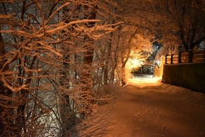 Read more about the article puzzle online Kuzminovská cesta