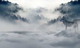 puzzle online vlčia svorka