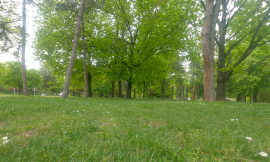 puzzle online Skopje park